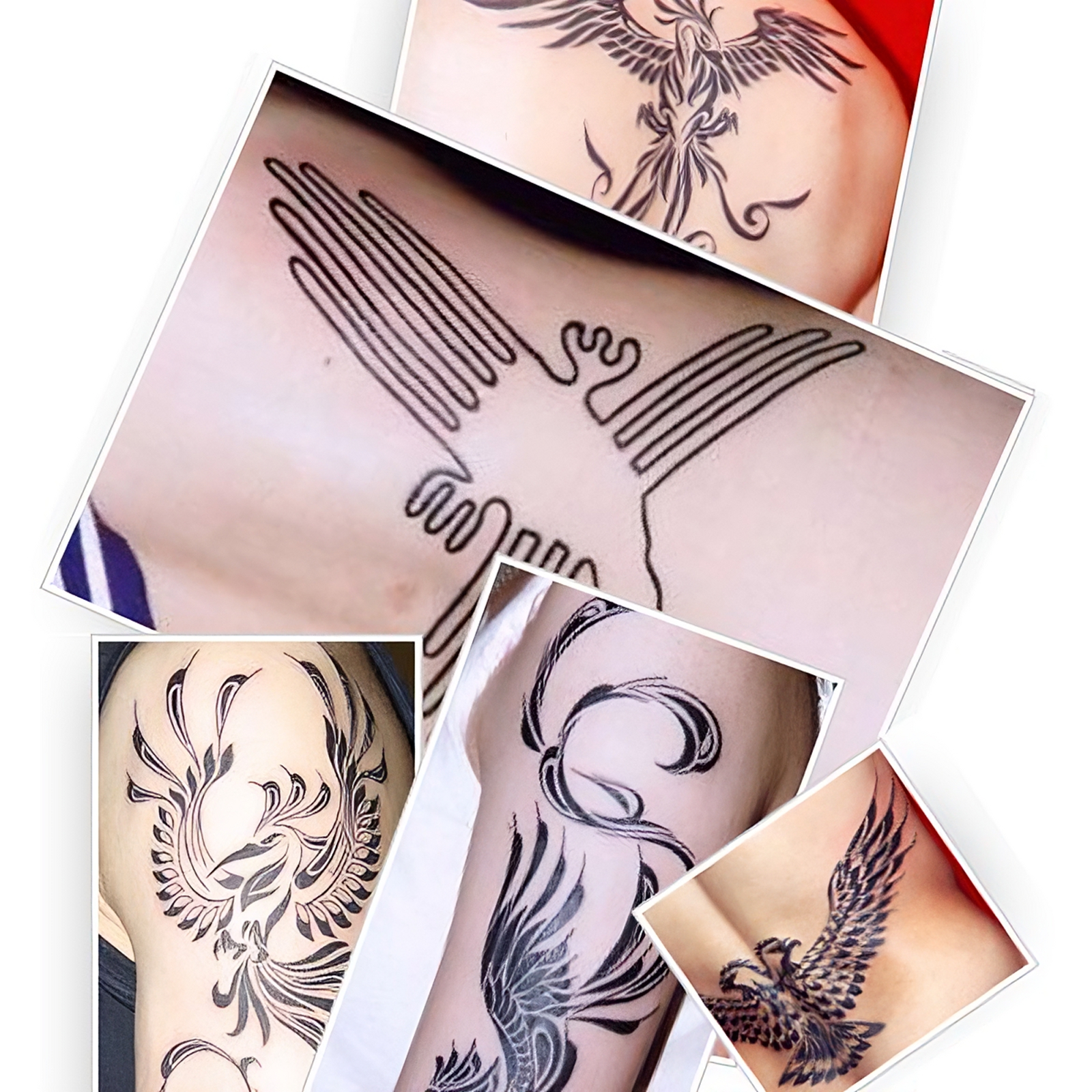 Vogel Tattoo Fotogalerie