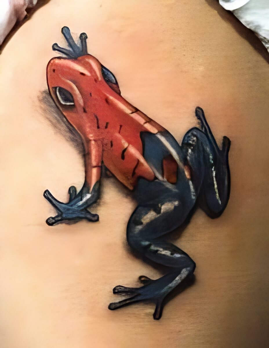 Blau roter Frosch