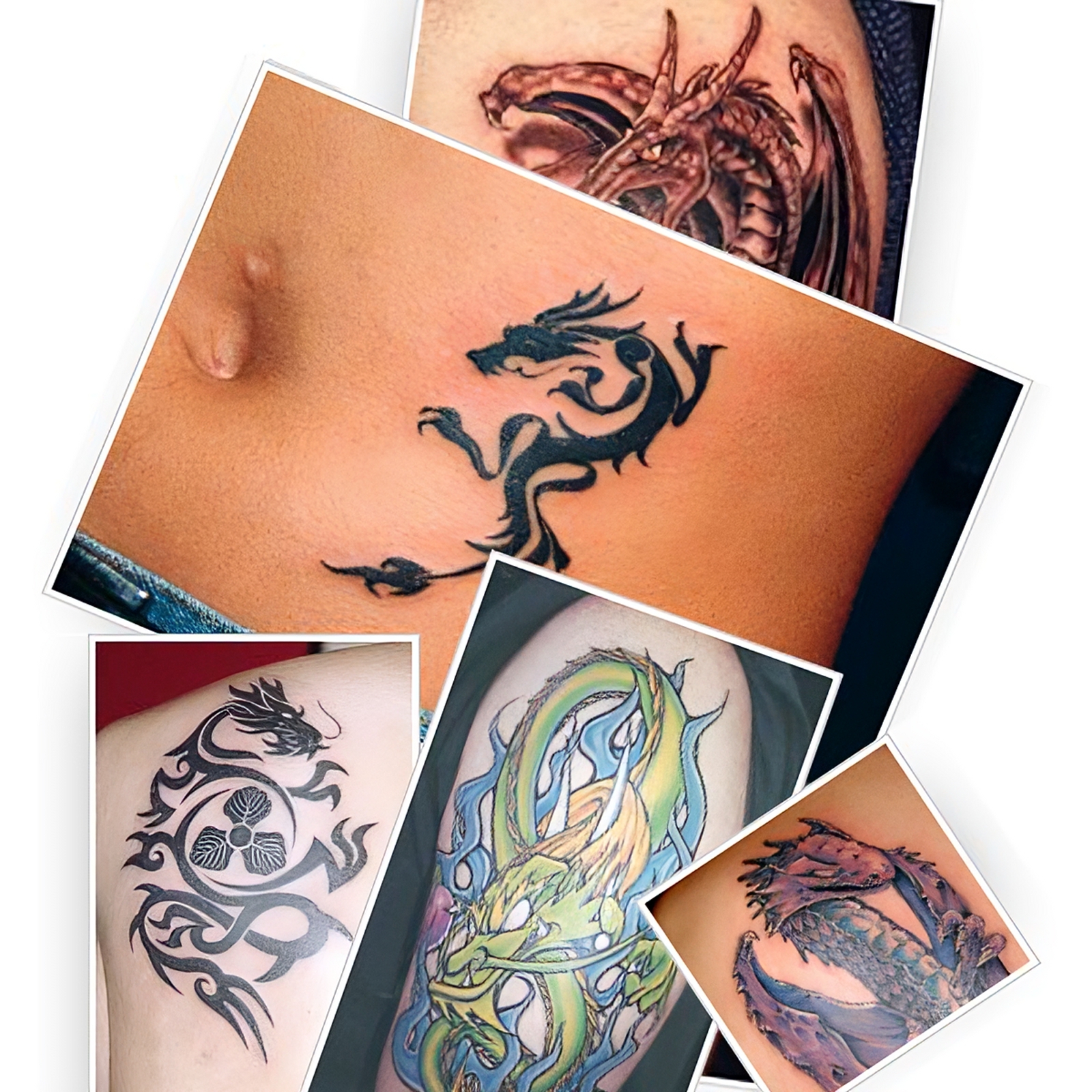 Drachen Tattoo Fotos