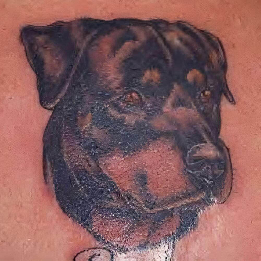 Hunde Tattoo