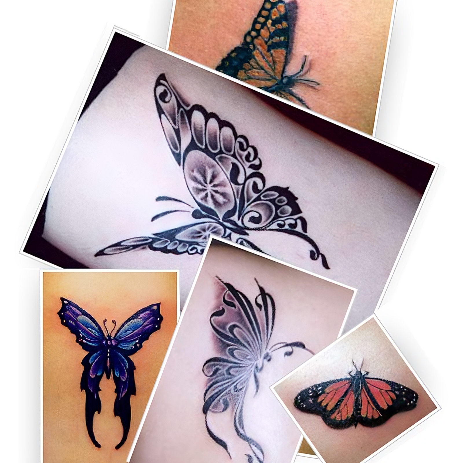 Schmetterling Tattoo Fotos