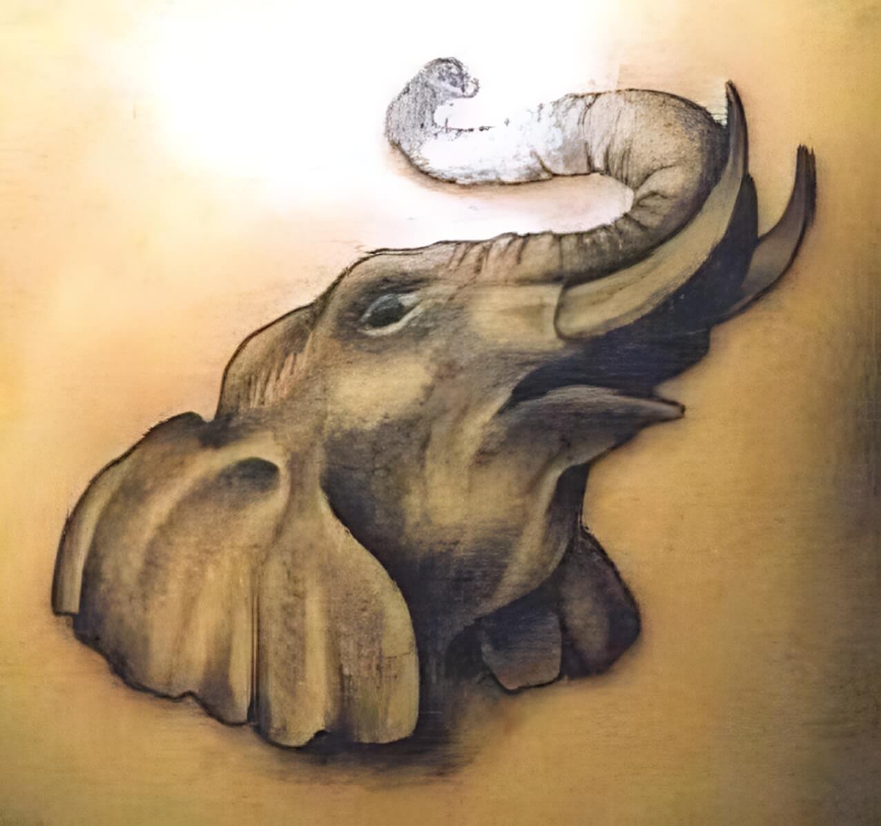 Trötender Elefant mit Stoßzähnen